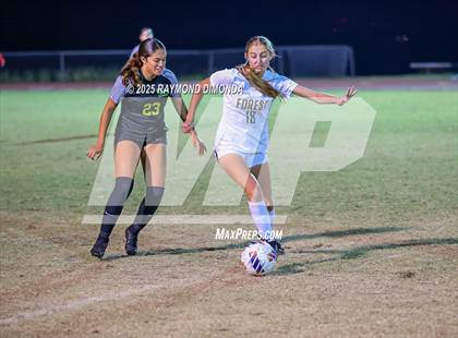 Thumbnail 3 in Forest @ Lake Minneola photogallery.