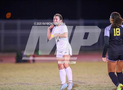 Thumbnail 2 in Forest @ Lake Minneola photogallery.