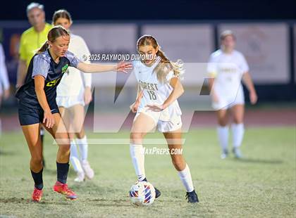 Thumbnail 3 in Forest @ Lake Minneola photogallery.