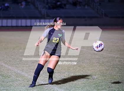 Thumbnail 1 in Forest @ Lake Minneola photogallery.