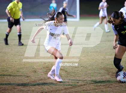 Thumbnail 1 in Forest @ Lake Minneola photogallery.