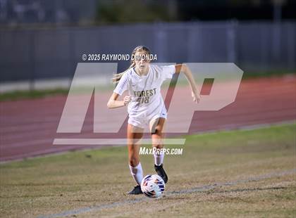 Thumbnail 1 in Forest @ Lake Minneola photogallery.