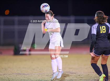 Thumbnail 3 in Forest @ Lake Minneola photogallery.