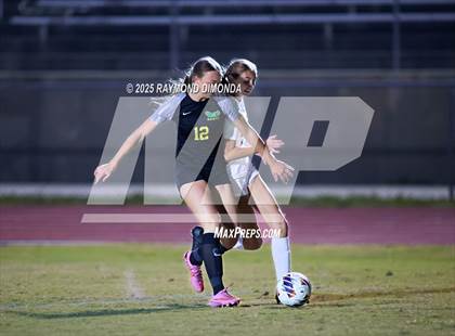 Thumbnail 1 in Forest @ Lake Minneola photogallery.