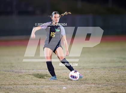 Thumbnail 3 in Forest @ Lake Minneola photogallery.