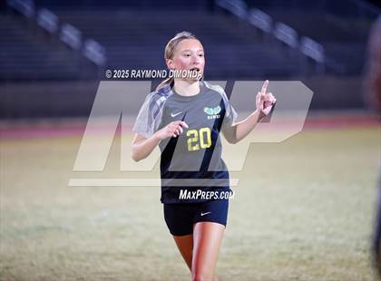 Thumbnail 1 in Forest @ Lake Minneola photogallery.