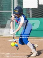Photo from the gallery "Tamalpais @ Archie Williams"
