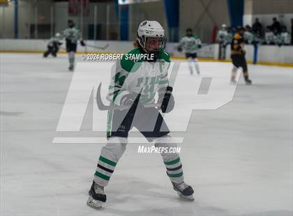 Thumbnail 1 in Thomas Jefferson @ Pine-Richland photogallery.
