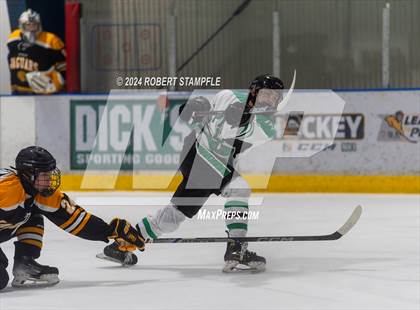 Thumbnail 3 in Thomas Jefferson @ Pine-Richland photogallery.