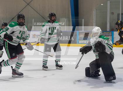 Thumbnail 3 in Thomas Jefferson @ Pine-Richland photogallery.