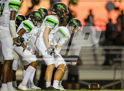 Thumbnail 1 in Lake Cormorant @ DeSoto Central photogallery.