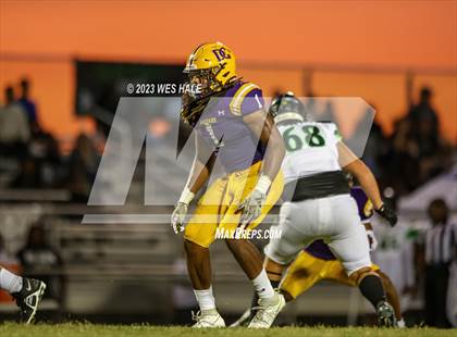 Thumbnail 2 in Lake Cormorant @ DeSoto Central photogallery.
