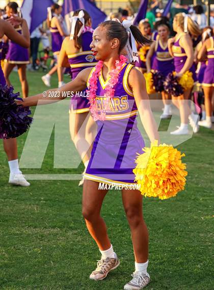Thumbnail 2 in Lake Cormorant @ DeSoto Central photogallery.