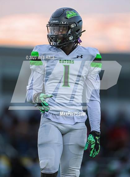 Thumbnail 2 in Lake Cormorant @ DeSoto Central photogallery.