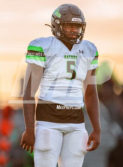 Thumbnail 3 in Lake Cormorant @ DeSoto Central photogallery.