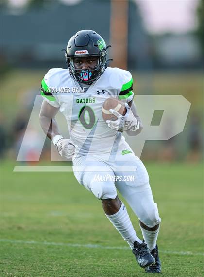 Thumbnail 1 in Lake Cormorant @ DeSoto Central photogallery.