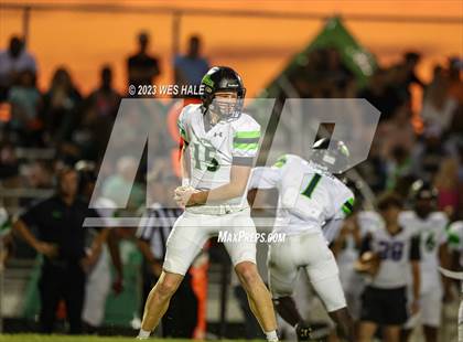 Thumbnail 3 in Lake Cormorant @ DeSoto Central photogallery.