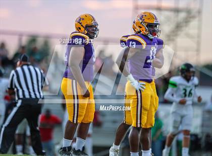 Thumbnail 2 in Lake Cormorant @ DeSoto Central photogallery.
