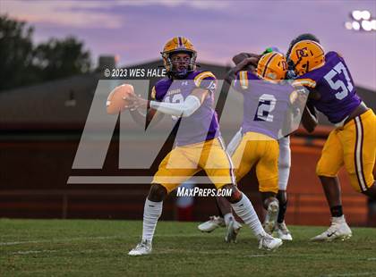 Thumbnail 3 in Lake Cormorant @ DeSoto Central photogallery.