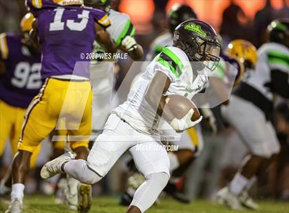 Thumbnail 3 in Lake Cormorant @ DeSoto Central photogallery.