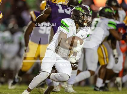 Thumbnail 1 in Lake Cormorant @ DeSoto Central photogallery.