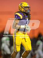 Photo from the gallery "Lake Cormorant @ DeSoto Central"