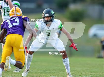 Thumbnail 2 in Lake Cormorant @ DeSoto Central photogallery.