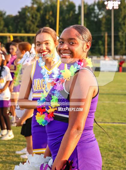 Thumbnail 1 in Lake Cormorant @ DeSoto Central photogallery.
