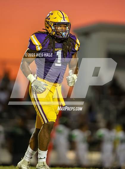 Thumbnail 3 in Lake Cormorant @ DeSoto Central photogallery.