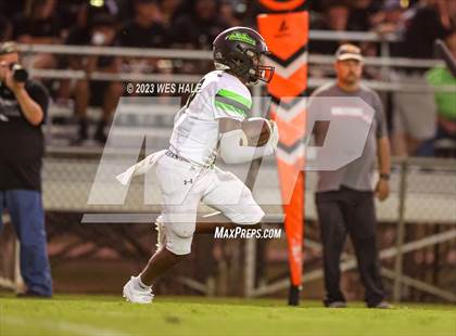 Thumbnail 2 in Lake Cormorant @ DeSoto Central photogallery.