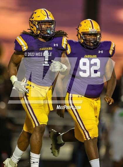 Thumbnail 3 in Lake Cormorant @ DeSoto Central photogallery.