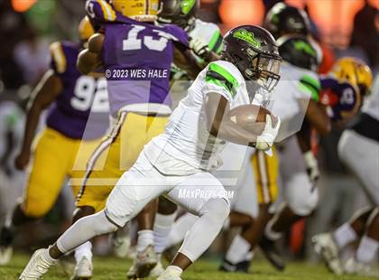 Thumbnail 2 in Lake Cormorant @ DeSoto Central photogallery.