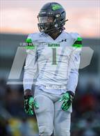 Photo from the gallery "Lake Cormorant @ DeSoto Central"