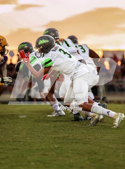 Thumbnail 3 in Lake Cormorant @ DeSoto Central photogallery.