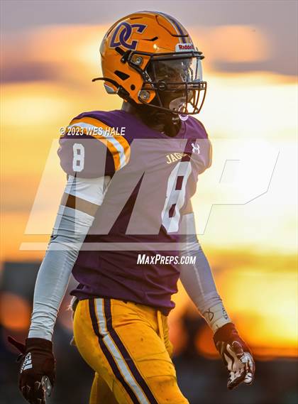 Thumbnail 1 in Lake Cormorant @ DeSoto Central photogallery.