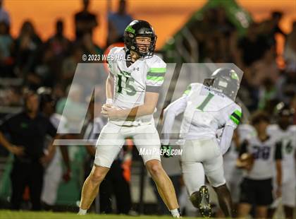 Thumbnail 2 in Lake Cormorant @ DeSoto Central photogallery.