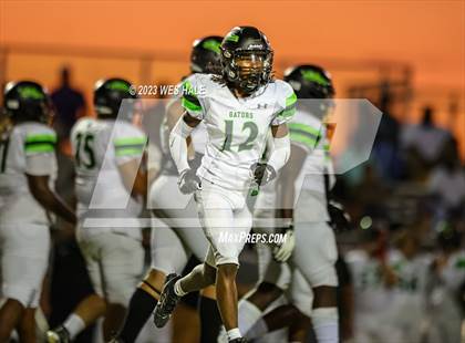 Thumbnail 1 in Lake Cormorant @ DeSoto Central photogallery.