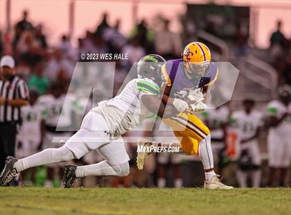 Thumbnail 1 in Lake Cormorant @ DeSoto Central photogallery.