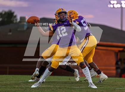 Thumbnail 2 in Lake Cormorant @ DeSoto Central photogallery.