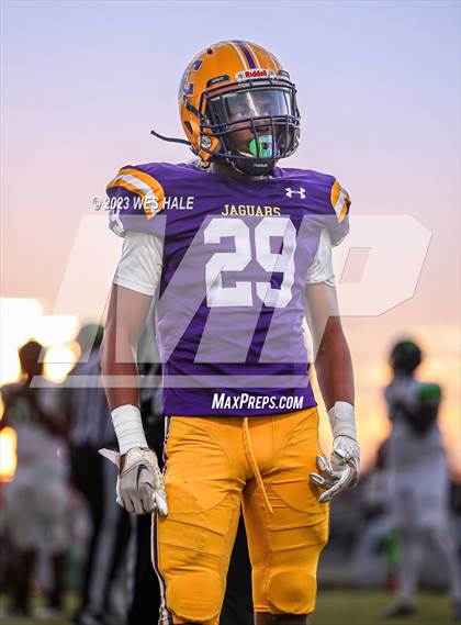 Thumbnail 2 in Lake Cormorant @ DeSoto Central photogallery.