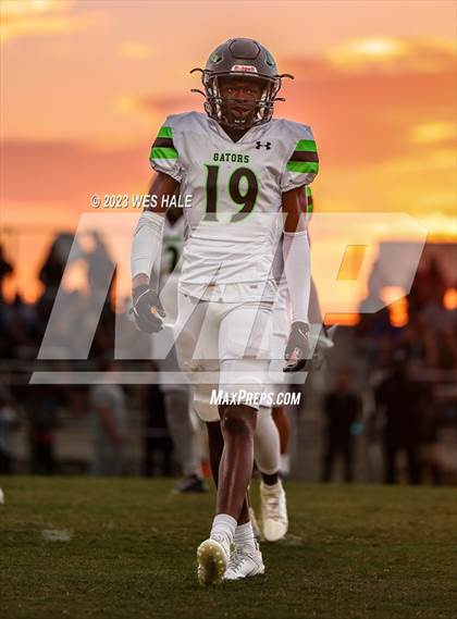 Thumbnail 3 in Lake Cormorant @ DeSoto Central photogallery.