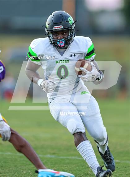 Thumbnail 2 in Lake Cormorant @ DeSoto Central photogallery.