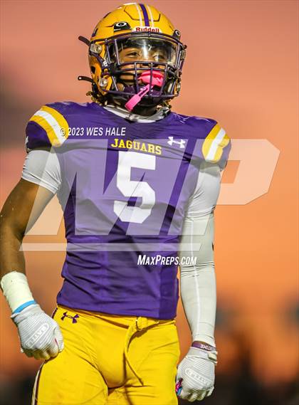 Thumbnail 2 in Lake Cormorant @ DeSoto Central photogallery.