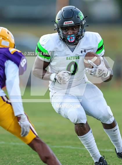 Thumbnail 3 in Lake Cormorant @ DeSoto Central photogallery.