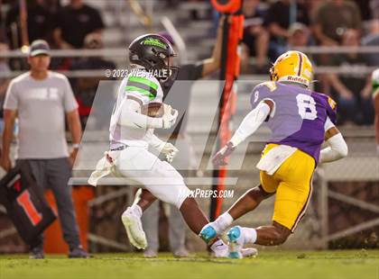 Thumbnail 2 in Lake Cormorant @ DeSoto Central photogallery.