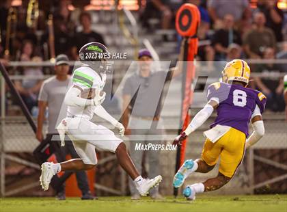 Thumbnail 1 in Lake Cormorant @ DeSoto Central photogallery.