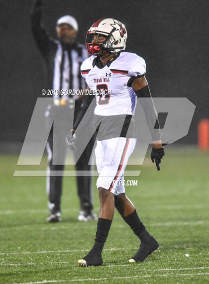 Thumbnail 3 in Cedar Hill @ DeSoto photogallery.