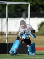 Photo from the gallery "Wallenpaupack Area @ Berwick"