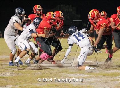 Thumbnail 3 in Taravella @ Deerfield Beach photogallery.