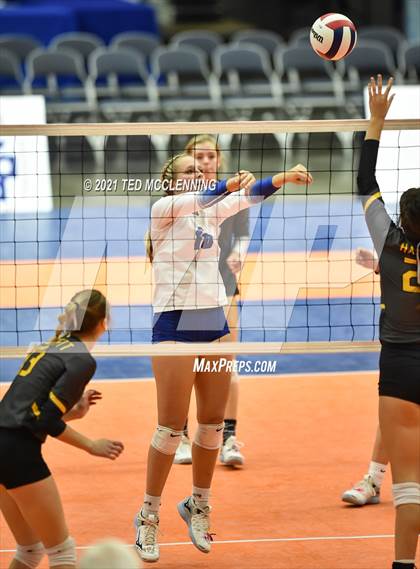 Thumbnail 2 in Hackett vs. Paris (AAA 3A Final) photogallery.